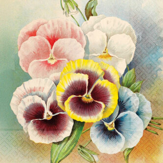 Servetter - Penséer