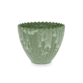 Melerad blomkruka - grön